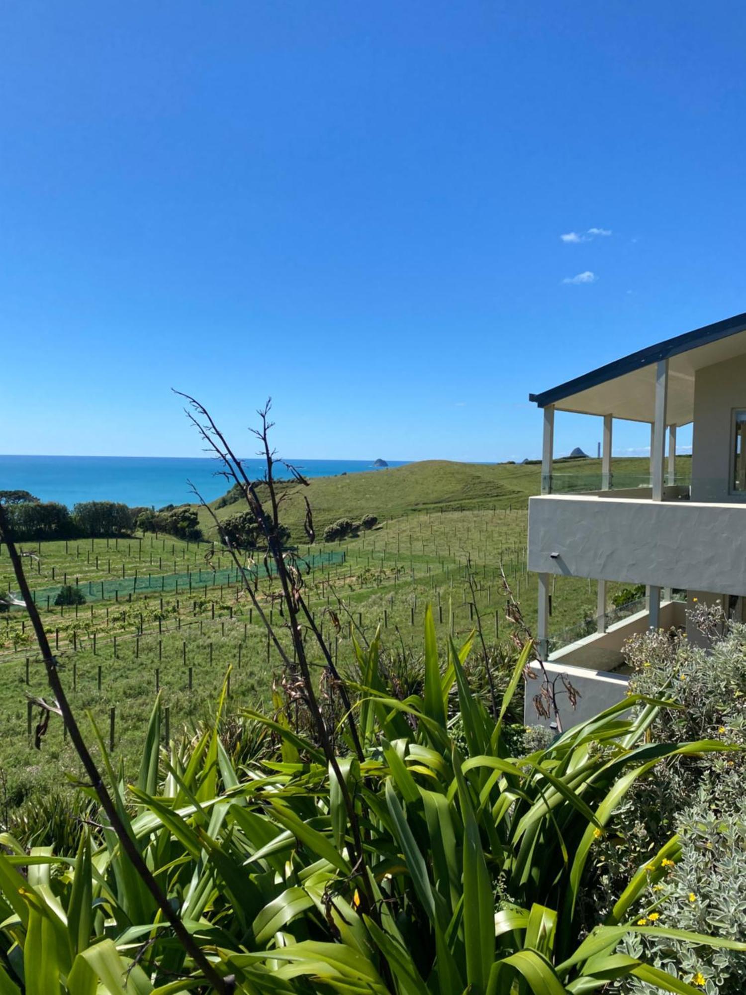 Chalets At Okurukuru New Plymouth Luaran gambar