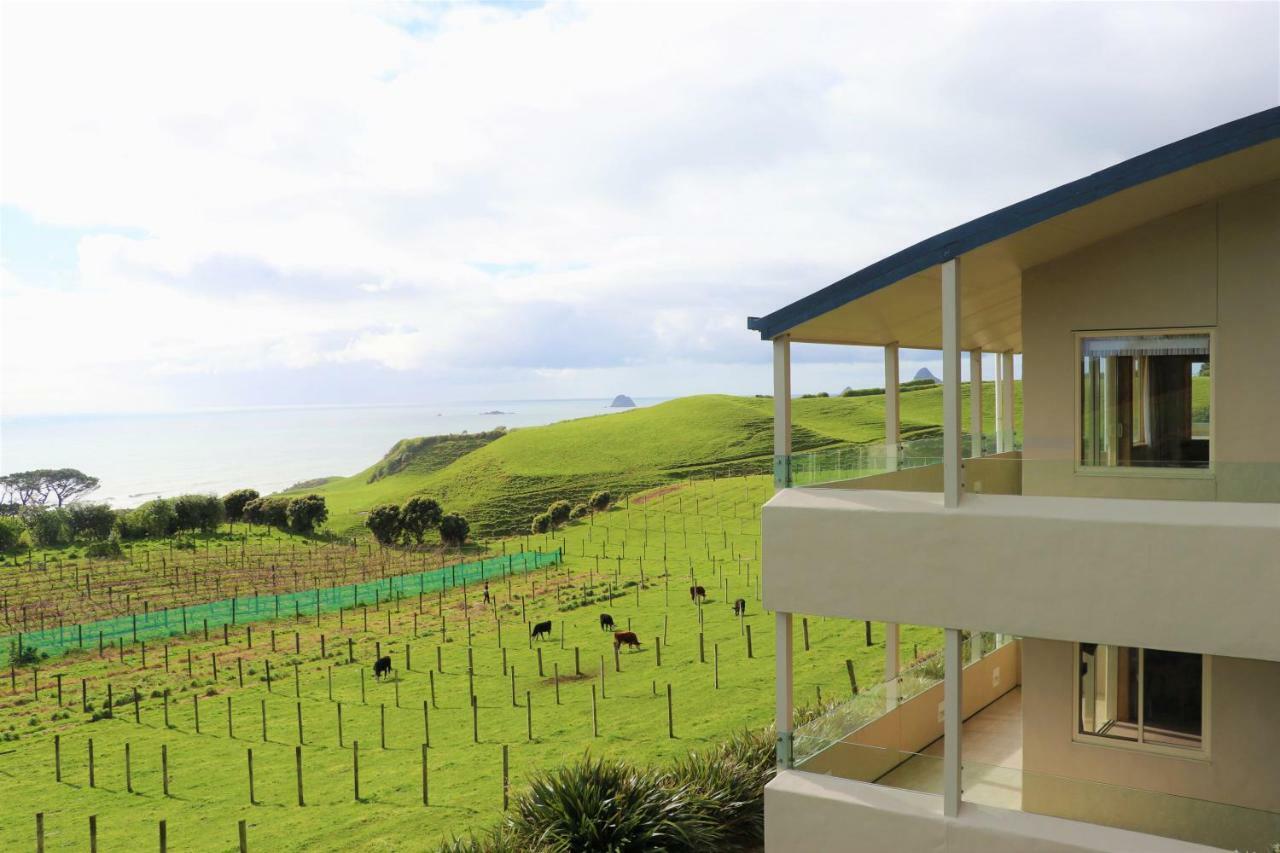 Chalets At Okurukuru New Plymouth Luaran gambar